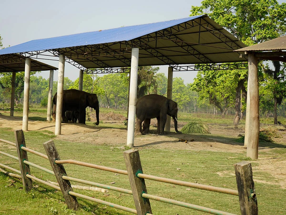 Chitwan National Park