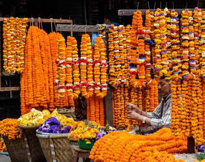 Tihar festival Nepal