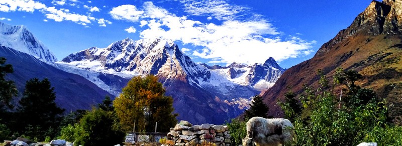 Manaslu Trekking from Lho Village