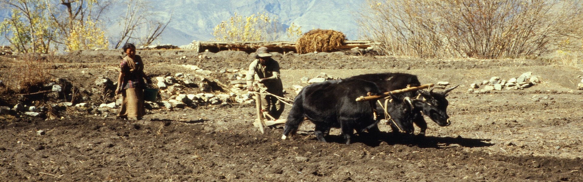 Lubra Village Trekking