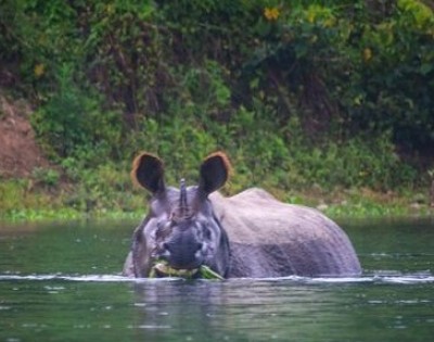 Chitwan National Park