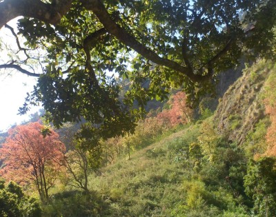 Ganesh Himal Ruby Valley Trekking